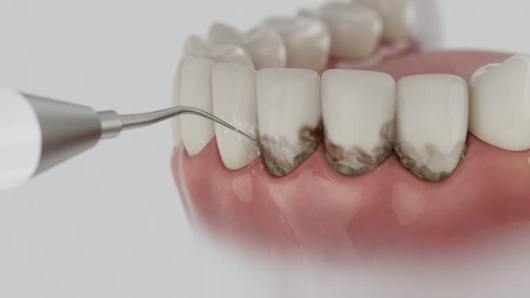 Reliable Dental contractor in Robertsdale, AL by Dentist Open Now